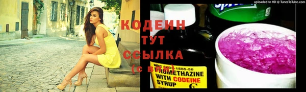 крисы Горно-Алтайск