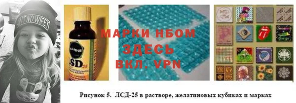 прущие грибы Горнозаводск