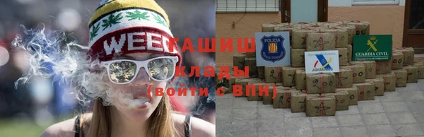прущие грибы Горнозаводск