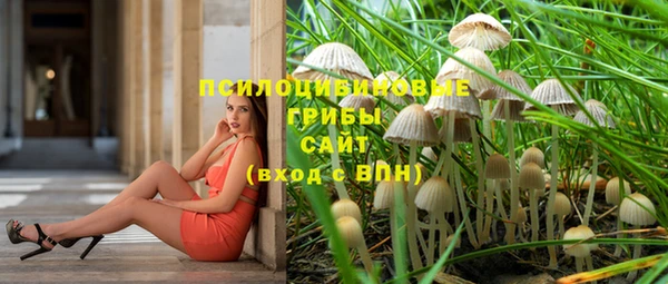mix Горняк