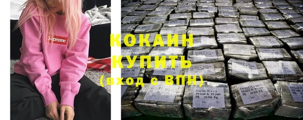 прущие грибы Горнозаводск