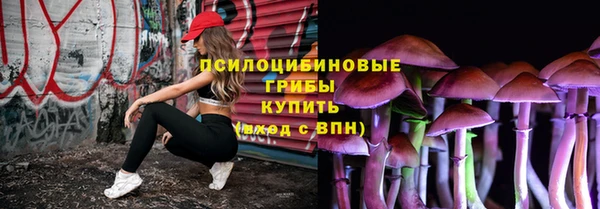 крисы Горно-Алтайск