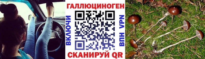где купить наркотик  МЕГА ссылки  Галлюциногенные грибы Magic Shrooms  Курганинск 